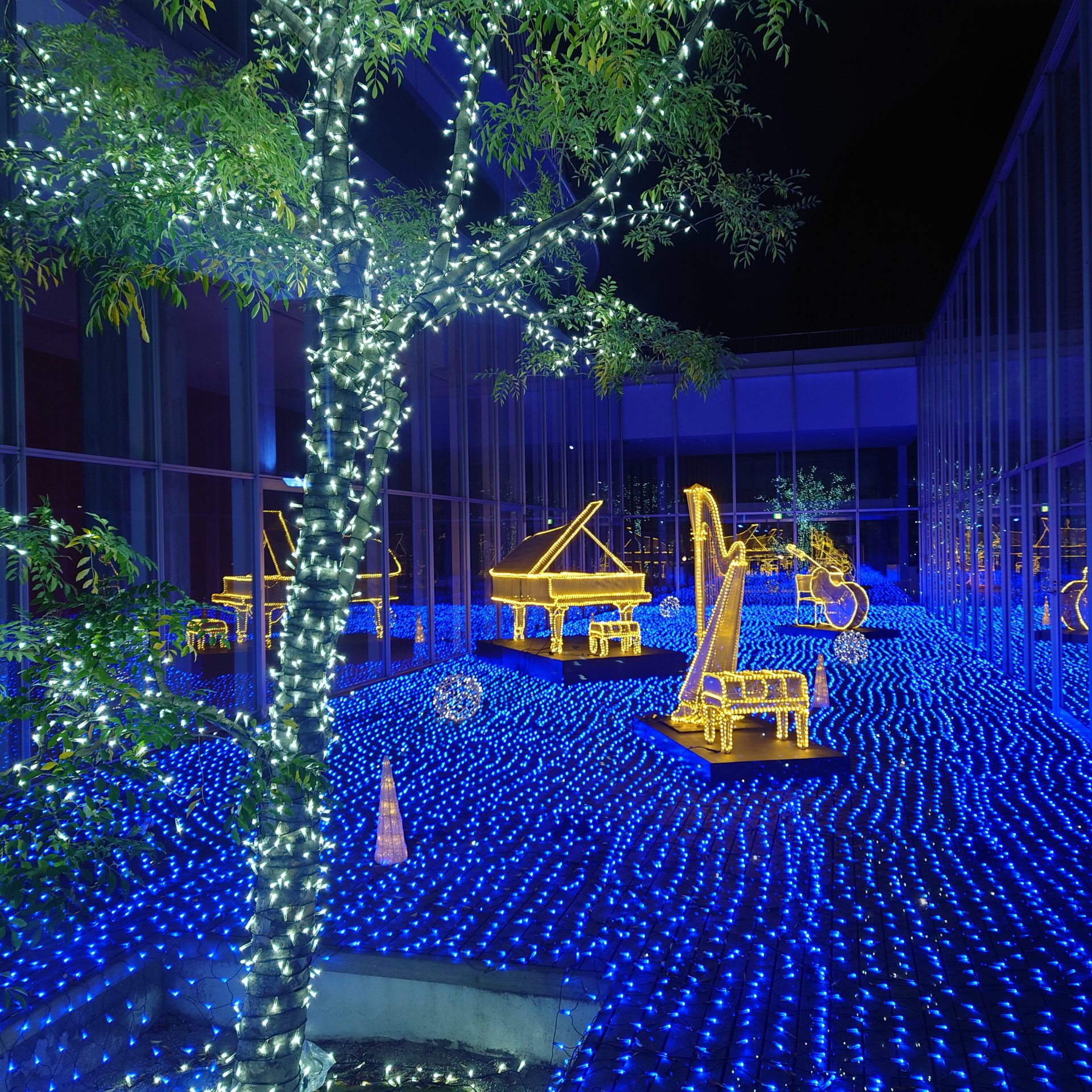 今年も映えてます！ポポロのウィンターイルミネーション｜三原市芸術