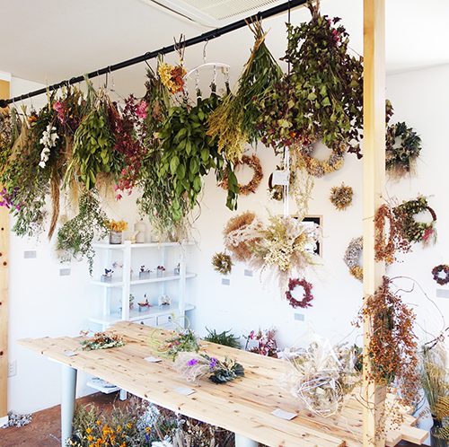 自分の力でたくましく生きた草花の美しさを伝えたい。｜ARI+ アリタス